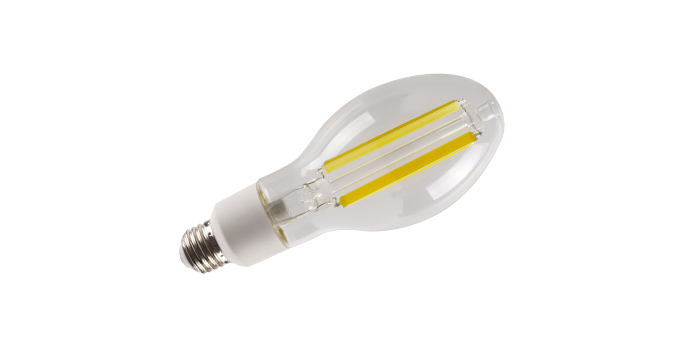 bulb